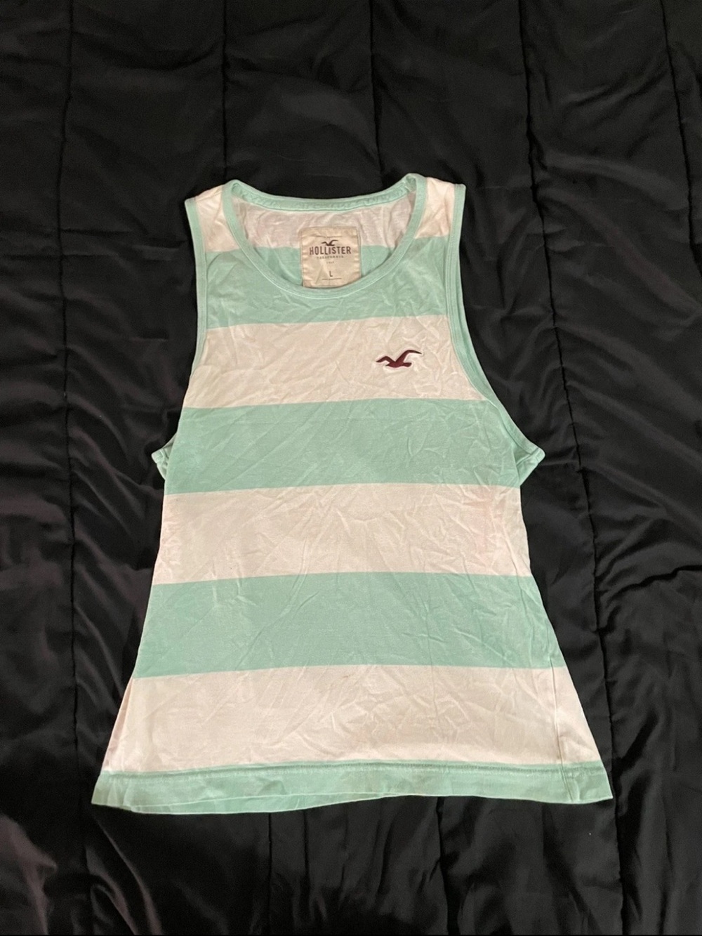 Hollister Co. Men's Striped Muscle Tank Top – Mint Green & White (Size L)